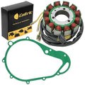 Stator & Gasket for Suzuki GS750 GS750L GS750N 1977 1978 1979 12-Pole