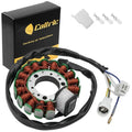Stator for Yamaha TTR225 TTR-225 Ttr 225 1999 2000 2001 2002 2003 2004