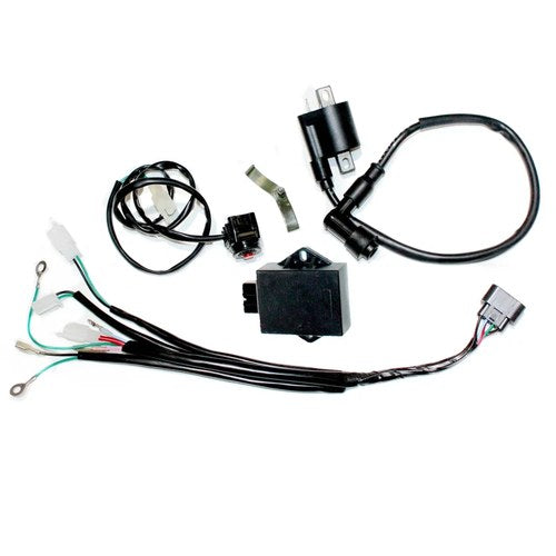 Complete Wire Wiring Harness Loom Lifan W150 150cc Pit Pro Trail Dirt Bike
