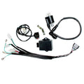 Complete Wire Wiring Harness Loom Lifan W150 150cc Pit Pro Trail Dirt Bike