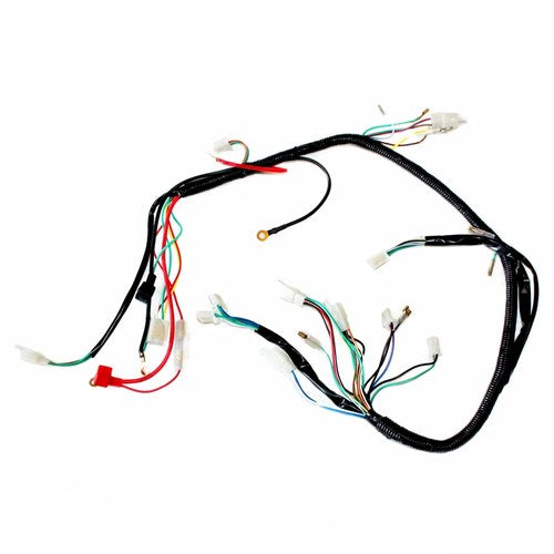 Electric Start Engine Wire Wiring Harness Loom Pitpro Quad Dirt Bike ATV Buggy B