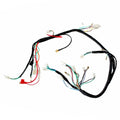 Electric Start Engine Wire Wiring Harness Loom Pitpro Quad Dirt Bike ATV Buggy B