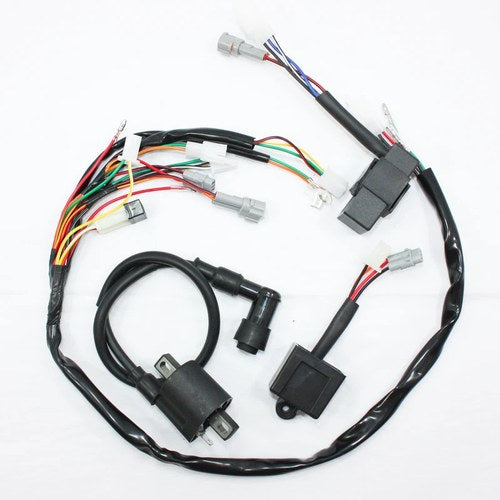 Wiring Harness Loom Ignition CDI Control Unit Coil Yamaha PW50 PY50 Dirt Bike