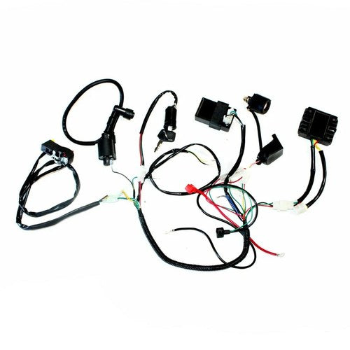 Basic Wire Wiring Harness Loom DC 150 250cc Engine Pit Quad Dirt Bike ATV Buggy