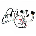 Basic Wire Wiring Harness Loom DC 150 250cc Engine Pit Quad Dirt Bike ATV Buggy