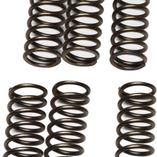 Ebc Csk Clutch Spring Kit CSK79