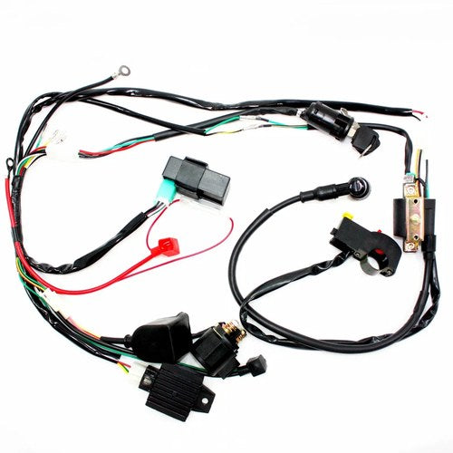 Complete Electric Start Engine Wiring Harness Loom 110 125cc Quad Bike ATV Buggy