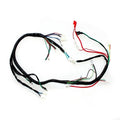 Engine AC Wiring Harness Wiring Loom 150cc 250cc Pit Quad Dirt Bike ATV Buggy A