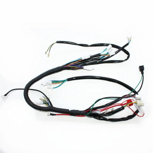 Rec Reg Engine Wire Wiring Harness Loom+ light wires 125cc Pit Trail Dirt Bike