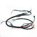 Rec Reg Engine Wire Wiring Harness Loom+ light wires 125cc Pit Trail Dirt Bike