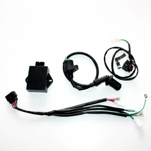 Complete Wire Wiring Harness Loom YX 160CC 4 Valve Engine Pitpro Trail Dirt Bike