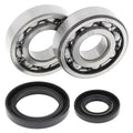 Suzuki RM250, 1986-1988, Crankshaft Bearings & Seal Kit - Crank Shaft - RM 250