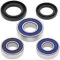 Kawasaki KD175, 1976-1979, Rear Wheel Bearings and Seals - KD 175