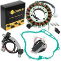 Stator Regulator W/Pickup Coil And Gasket for Yamaha Virago 750 XV750 1988-1990