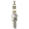 Ngk - Iridium IX Spark Plug (CR8EIX) 4218