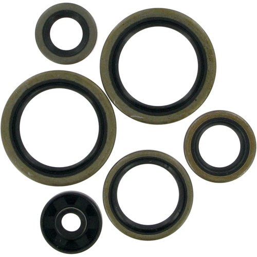 Moose Racing Engine Oil Seal Kit (0934-0166)