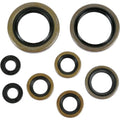 Moose Racing Engine Oil Seal Kit (0935-0045)
