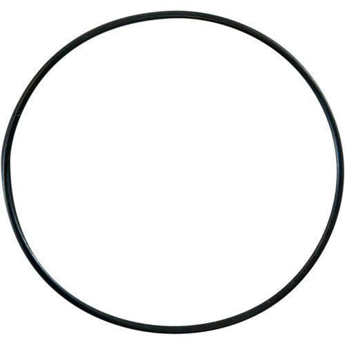 Pro Circuit Replacement Water Pump Cover O-Ring | PC4008-0401