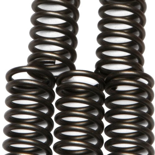 Ebc Csk Clutch Spring Set (CSK65)