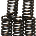 Ebc Csk Clutch Spring Set (CSK65)