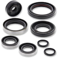 Moose Racing Engine Oil Seal Kit (0935-0946)