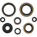 Moose Racing Engine Oil Seal Kit (0935-0060)