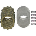 Hinson Racing Fsc Clutch Plate & Spring Kit (FSC141-9-001)