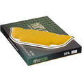 Hiflofiltro Replacement Air Filter | HFA2905