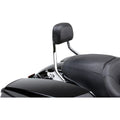 Cobra Detachable Backrest Kit (Chrome) Short | 602-2200