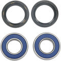Moose Racing Wheel Bearing Kit - Double Lip | 25-1063