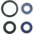 Moose Racing Wheel Bearing Kit - Double Lip | 25-1076