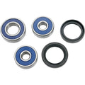 Moose Racing Wheel Bearing Kit - Double Lip | 25-1095