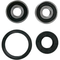 Pivot Works Wheel Bearing and Seal Kit - Double Seal - Front | PWFWS-Y04-000