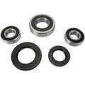 Pivot Works Wheel Bearing and Seal Kit - Double Seal - Rear | PWRWS-S14-000