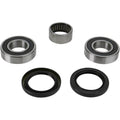 Pivot Works Wheel Bearing and Seal Kit - Double Seal - Rear | PWRWS-Y16-000