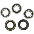 Pivot Works Wheel Bearing and Seal Kit - Double Seal - Rear | PWRWK-Y39-250