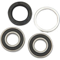 Pivot Works Wheel Bearing and Seal Kit - Double Seal - Rear | PWRWK-H01-521