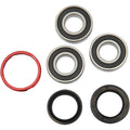 Pivot Works Wheel Bearing and Seal Kit - Double Seal - Rear | PWRWK-H09-521