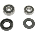 Pivot Works Wheel Bearing and Seal Kit - Double Seal - Rear | PWRWK-K08-008