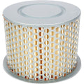 Emgo Air Filter Honda 17211-460-000 | 12-90700