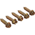 Gold Screws Ice Screws - Gold - 3/4" - 250 | 1250-0059