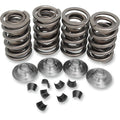 Kibblewhite Valve Spring Kit - Big Twin | 20-20430