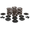 Kibblewhite Valve Spring Kit - Big Twin | 20-20435