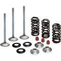 Kibblewhite Valve Spring Kit | 80-80950