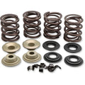 Kibblewhite Valve Spring Kit | 20-21100