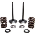 Kibblewhite Spring Kit - Stainless Steel | 30-31230