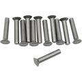 Eastern Motorcycle Parts Ratchet Plate Rivets | A-8215