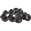 Kibblewhite Retainer Set - 16 pack | 40-41121
