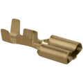 Namz 250 Terminal - Female - 50 Pack | NH-604512