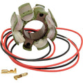 Rick's Motorsport Stator for Suzuki | 21-811